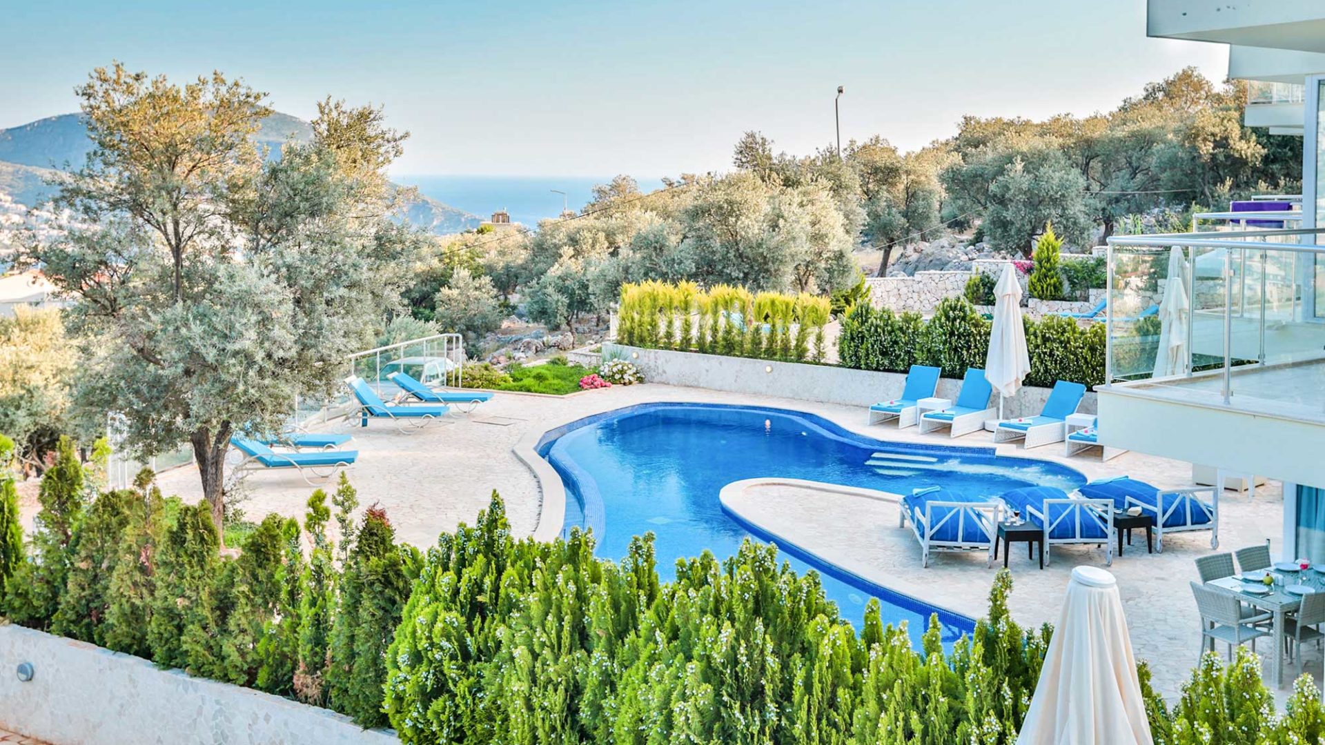 Villa Tzia's pool and terrace