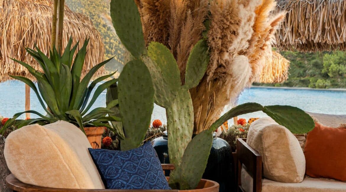 Lujo Hotel Gastronomy Joy Beach comfy spaces