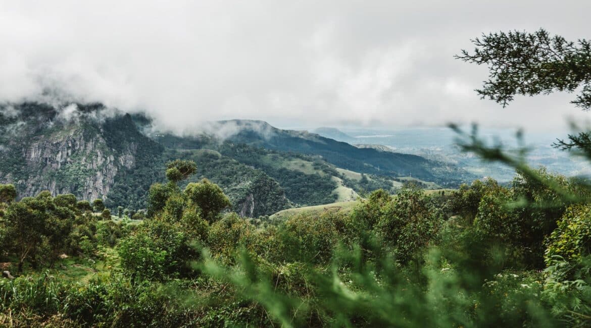 Thotalagala hillscapes and the magnificence of nature