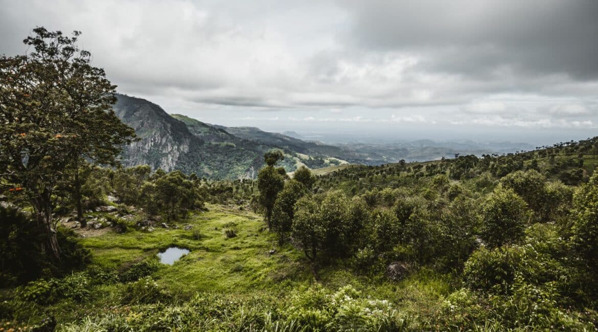 Thotalagala stunning hill terrain and uninterrupted views