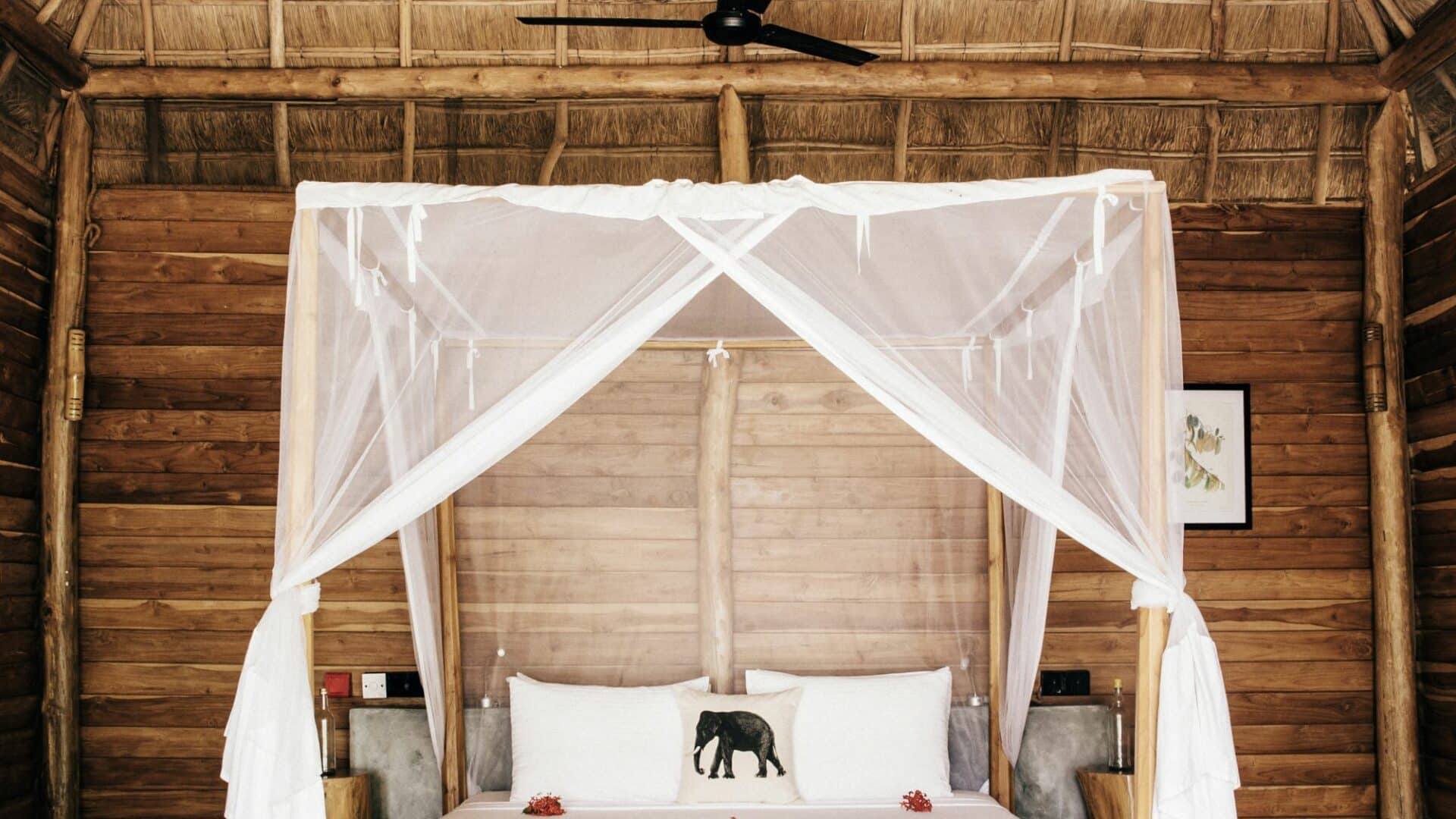 Gal Oya Lodge Family Room – Eco-conscious design blending natural materials with comfort, nestled on the edge of Gal Oya National Park.