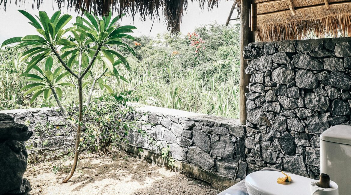 Gal Oya a loo with a view