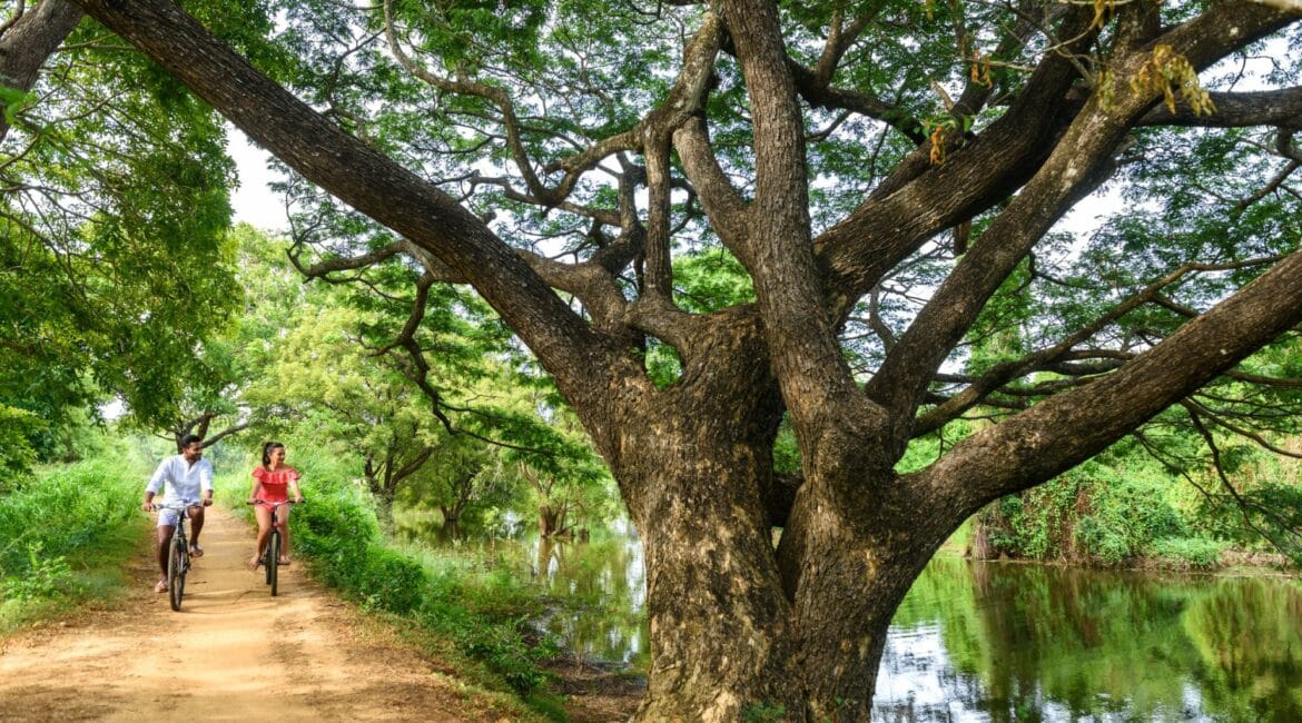 Cycling through the tranquil natural surroundings of Uga Ulagalla – sustainable luxury experience in Sri Lanka’s Cultural Triangle