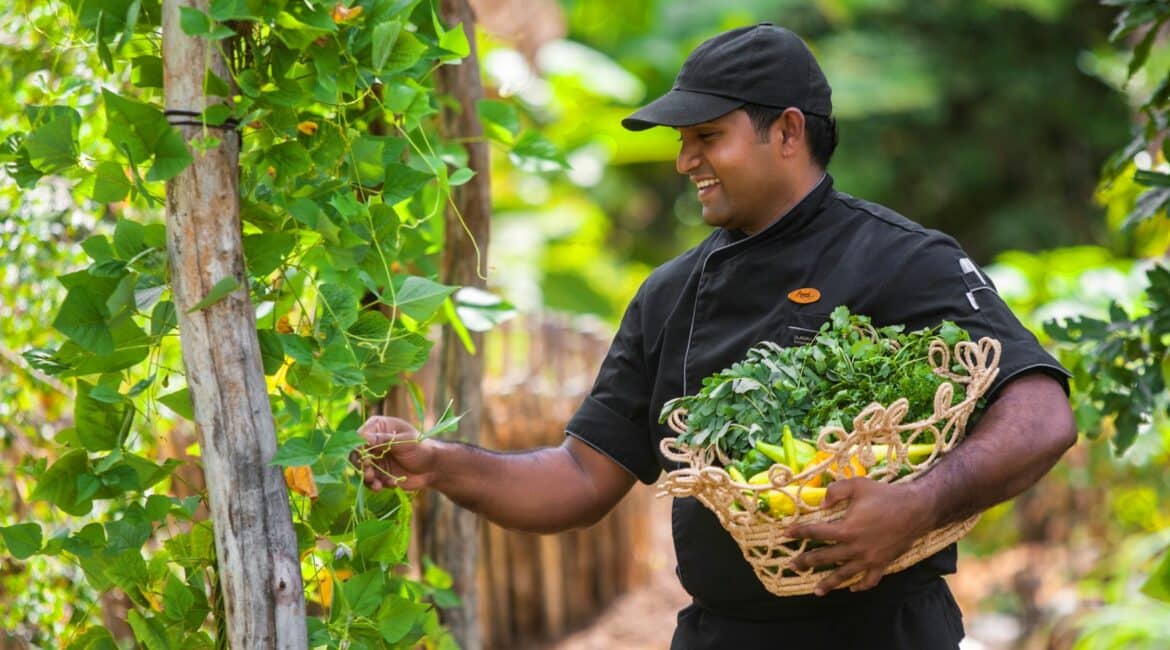 Ripe seasonal produce fromt he grounds