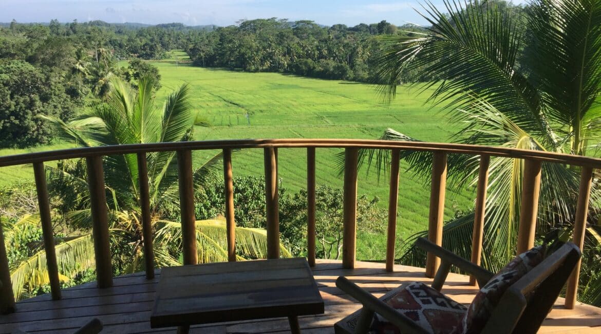 Tekanda Lodge View from Cabana Kumbura ('Paddy field Cabana')
