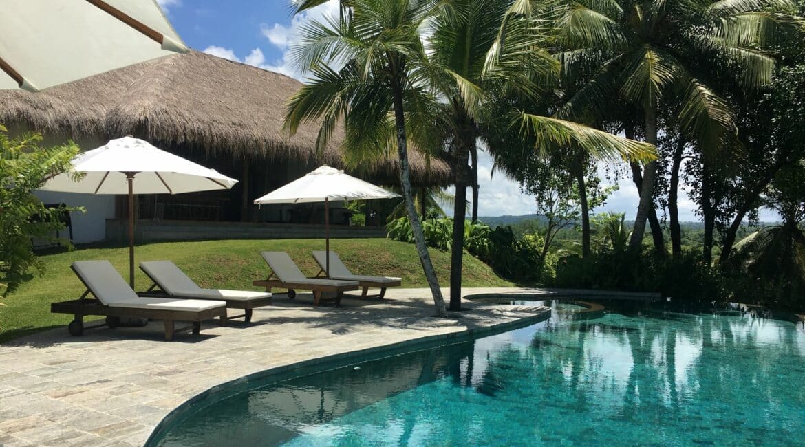 Tekanda Lodge swimming pool jungle vibes and lush pams