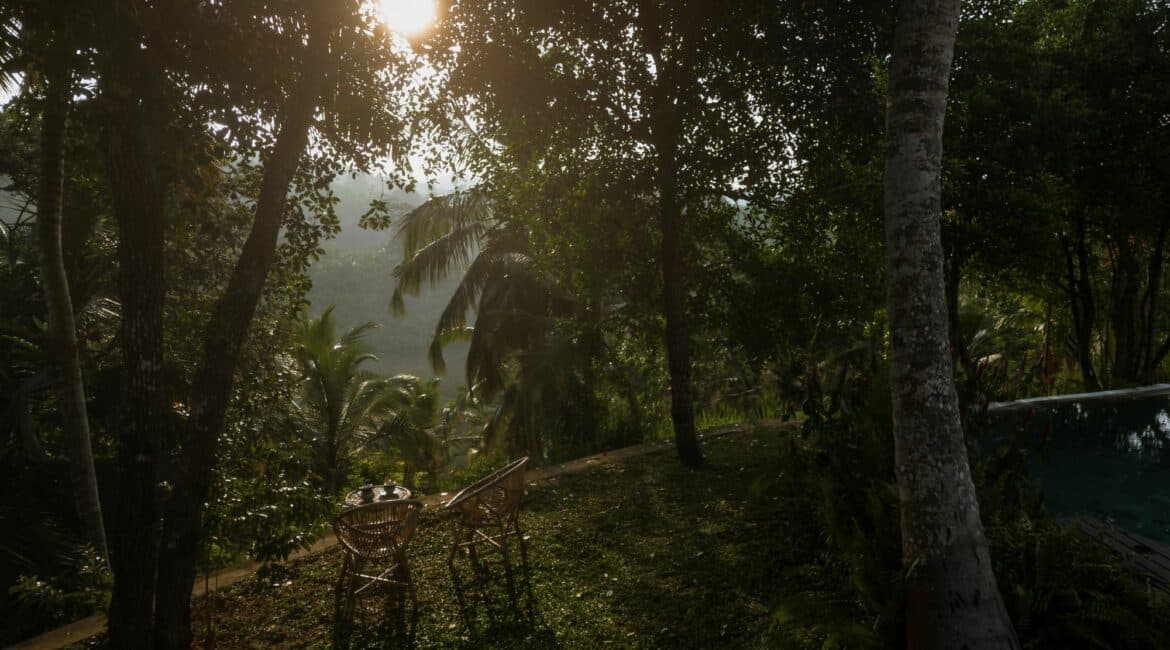 Tekanda Lodge sun blushed jungle vibes