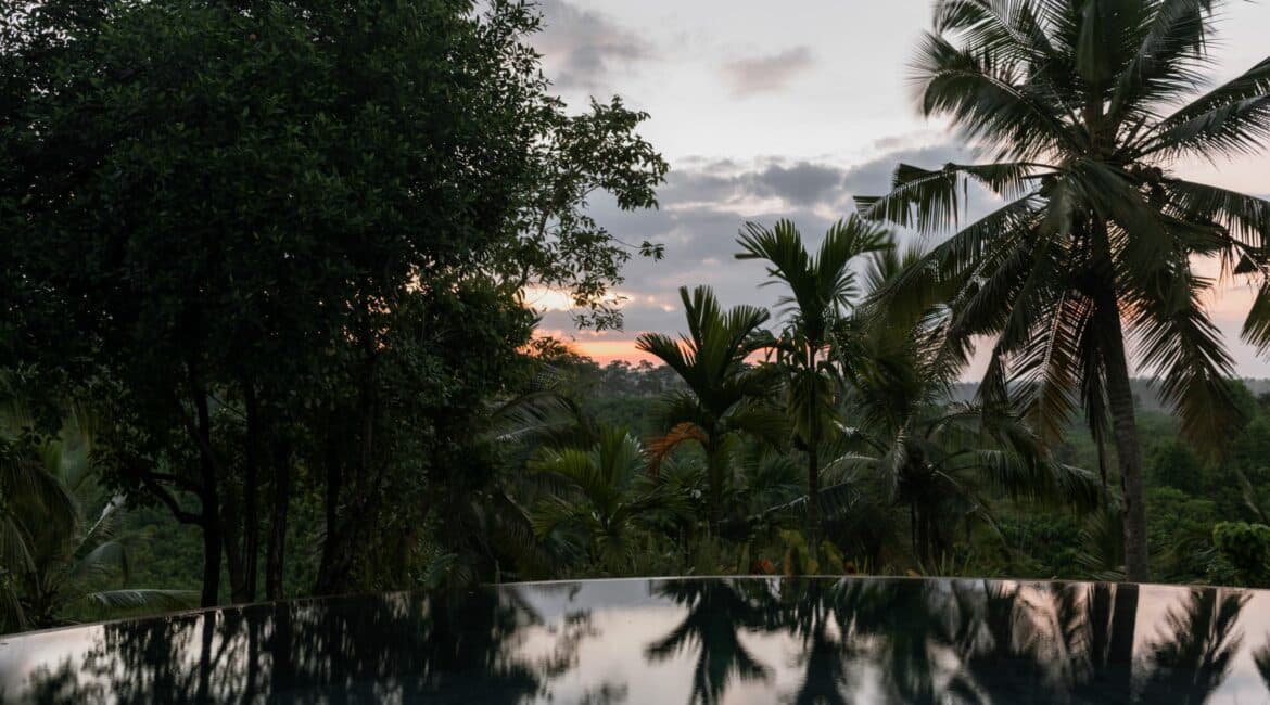 Tekanda Lodge dusty pink sunsets from the pool over the jungle