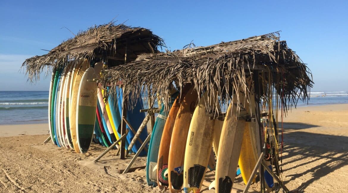 Surfboards resting on golden sands at Ahangama Beach, with gentle waves and palm trees in the background—Tekanda Lodge’s serene jungle retreat lies just minutes away.