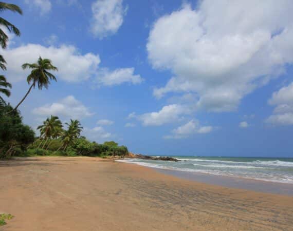 The Last House Mawella Beach