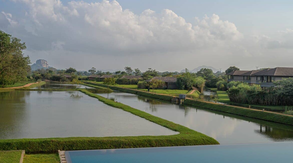 Water Garden Sigiriya swimming pool and manicured surrounds