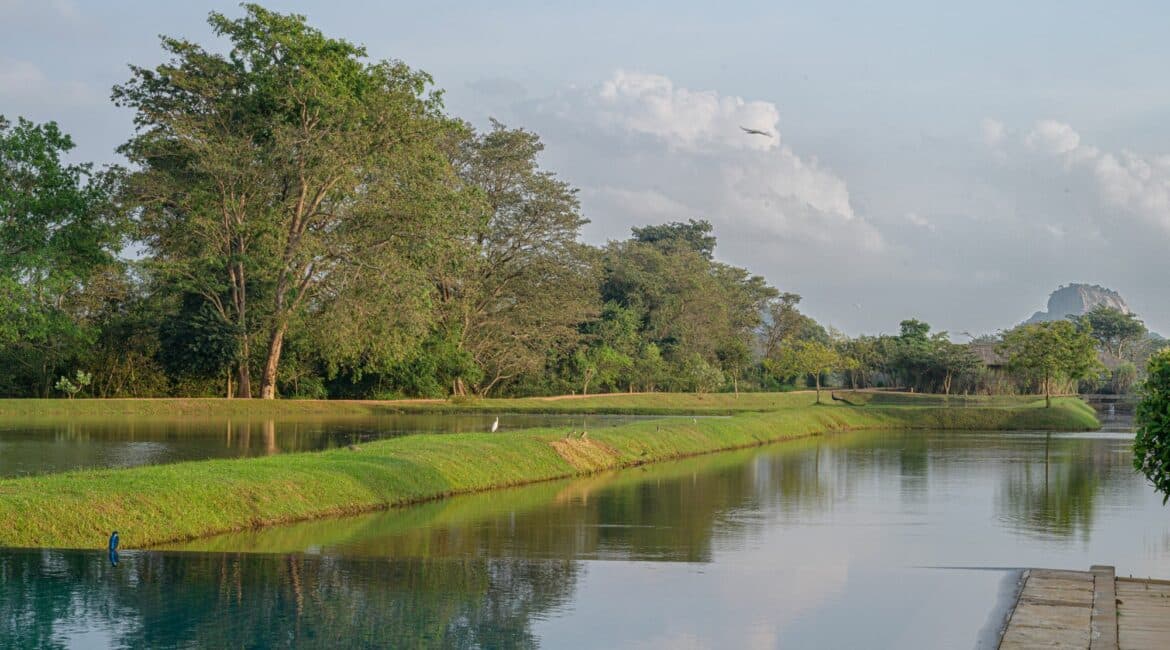 Water Garden Sigiriya and Rock backdrop