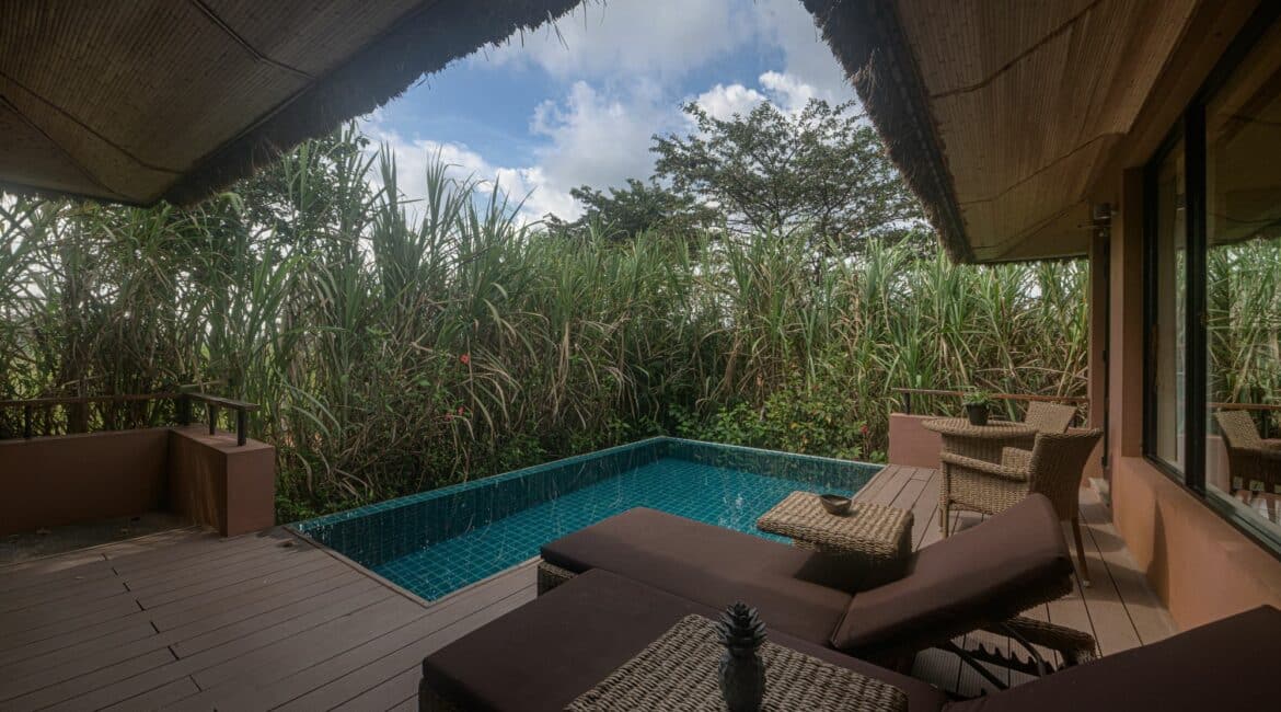 Water Garden Superior Deluxe Villas with Plunge Pool Poolside