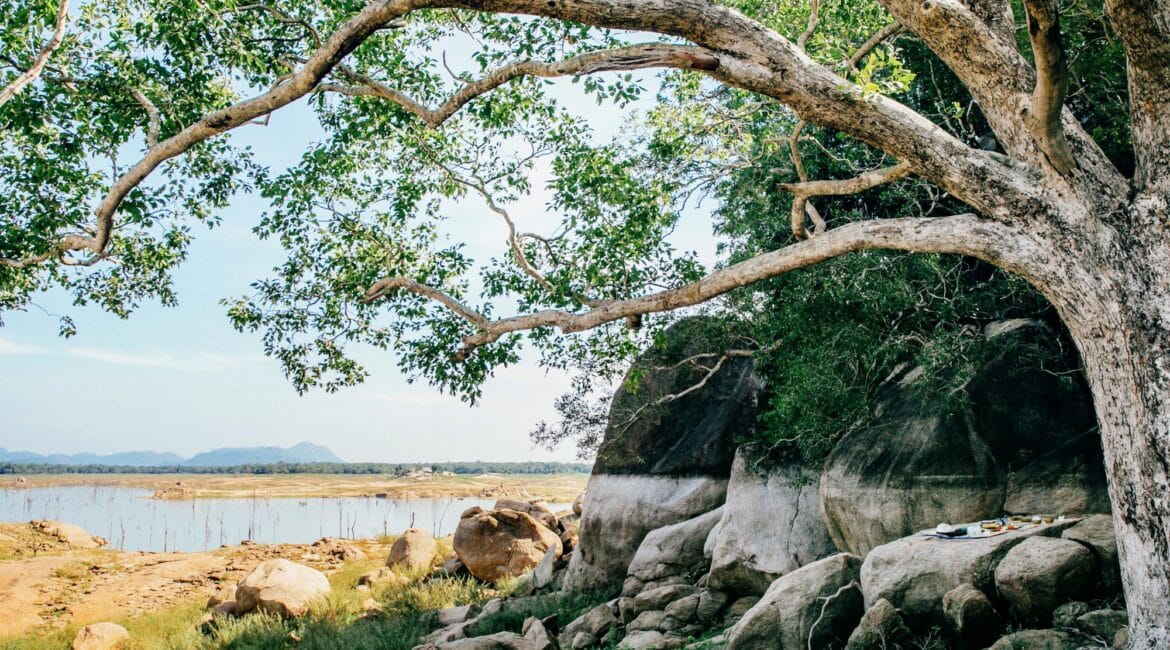 Gal Oya the magnificence of nature