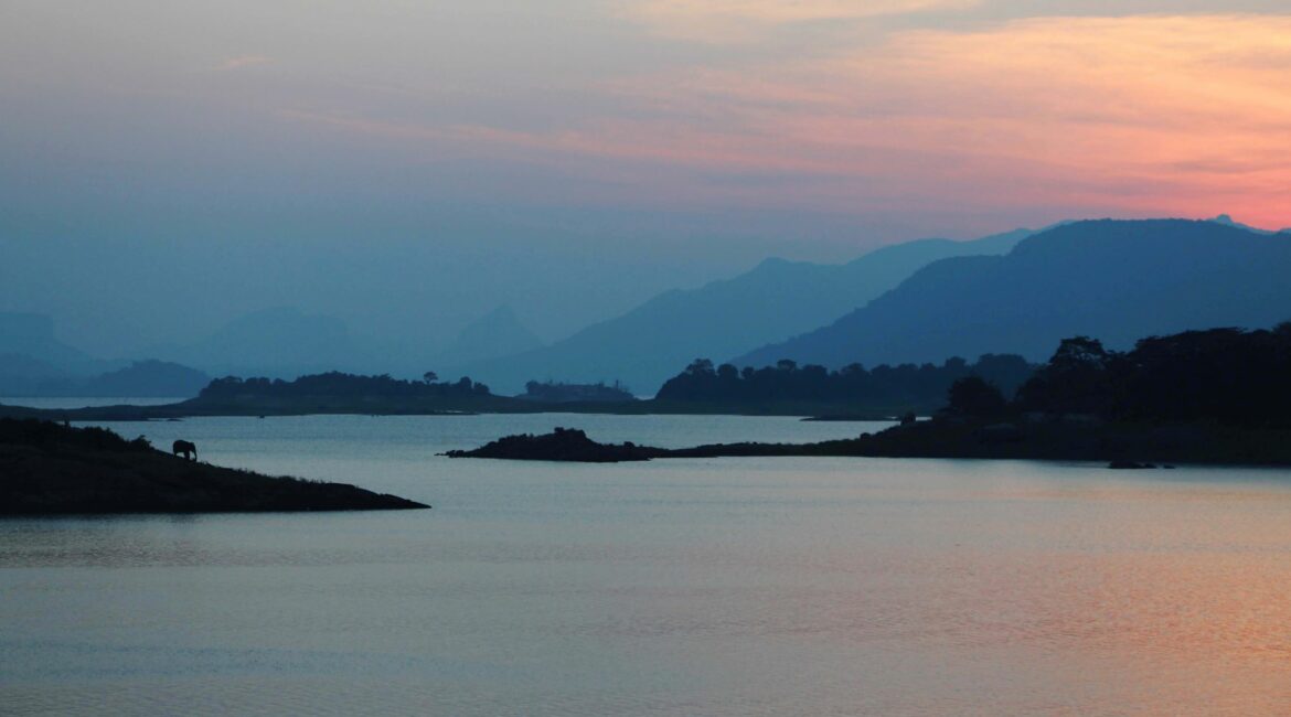 Gal Oya National Park – golden sunset over the lakes, casting reflections across tranquil waters and silhouetted treetops.