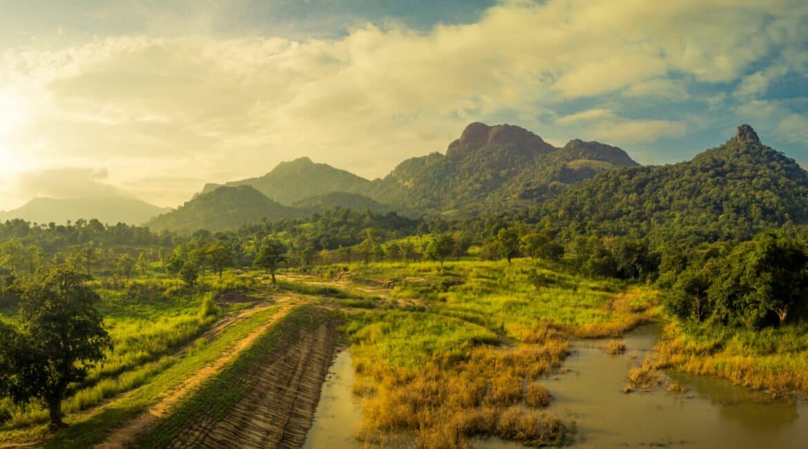 Gal Oya off grind wanderland