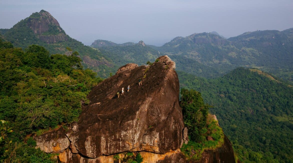 Gal Oya monkey mountain