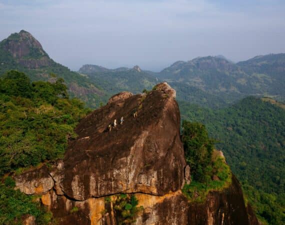 Gal Oya monkey mountain