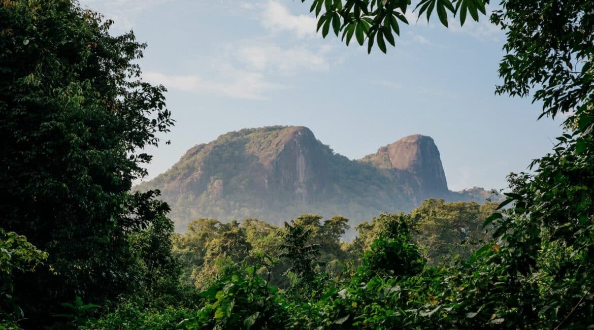 Gal Oya National Park – tranquil skyline view of Monkey Mountain framed by misty hills and untouched wilderness.