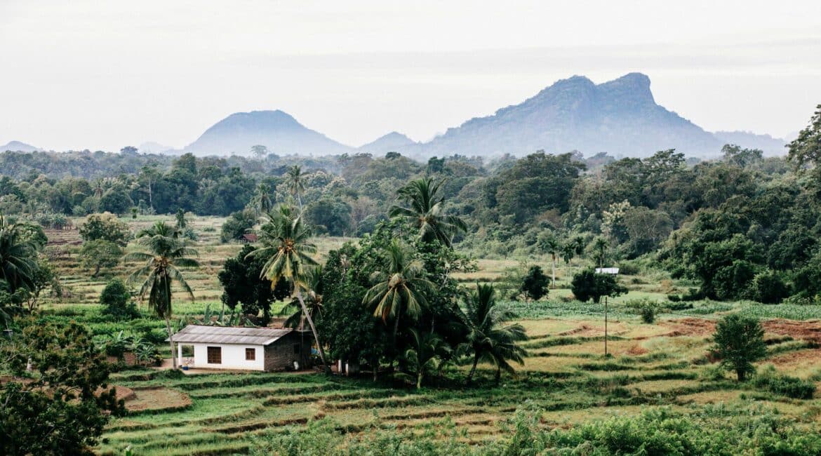 Gal Oya lush surrounds