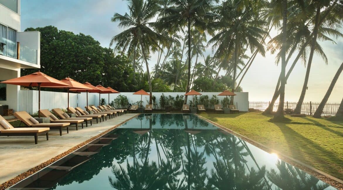 KK Pool and overhead palms