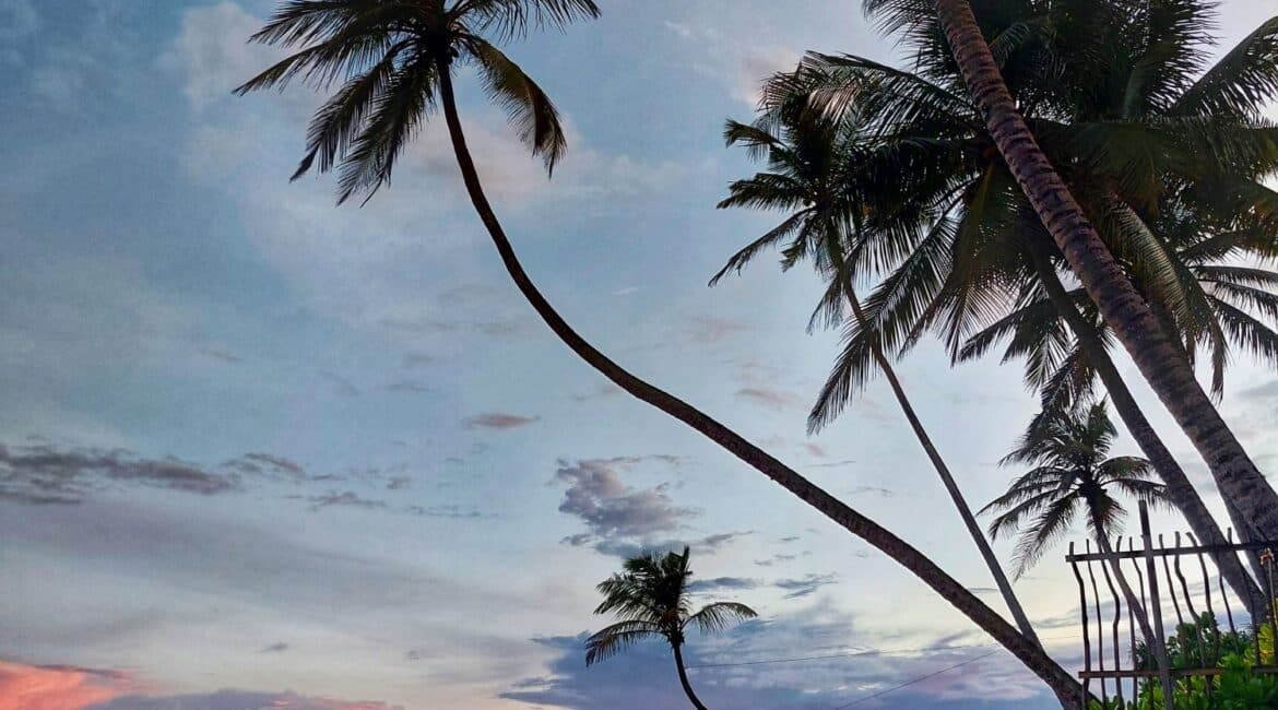 KK Beach, Sri Lanka – palm-fringed shore at sunset with soft pink skies over the sand and sea