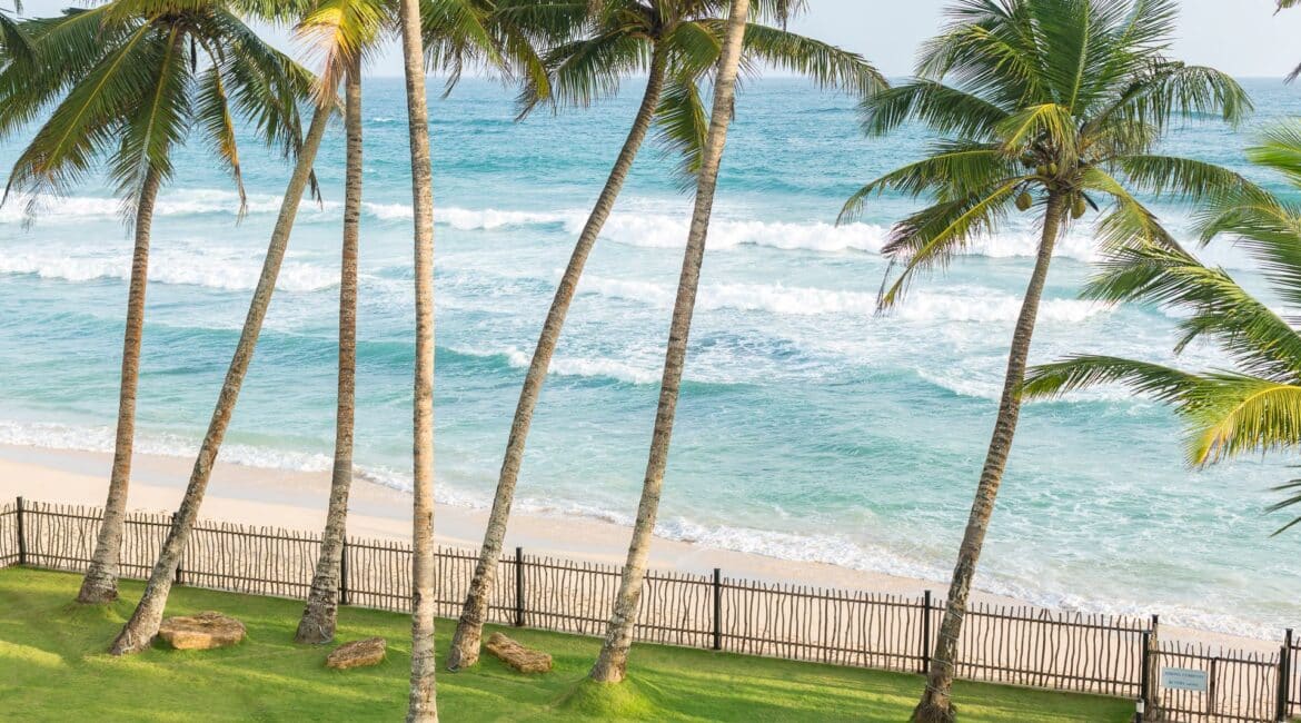 KK Beach, Sri Lanka – golden sand beach framed by swaying palm trees and shimmering shoreline.