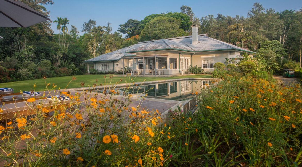 Infinity pool at Nine Skies framed by flowering gardens, bungalow, and dense Hill Country foliage