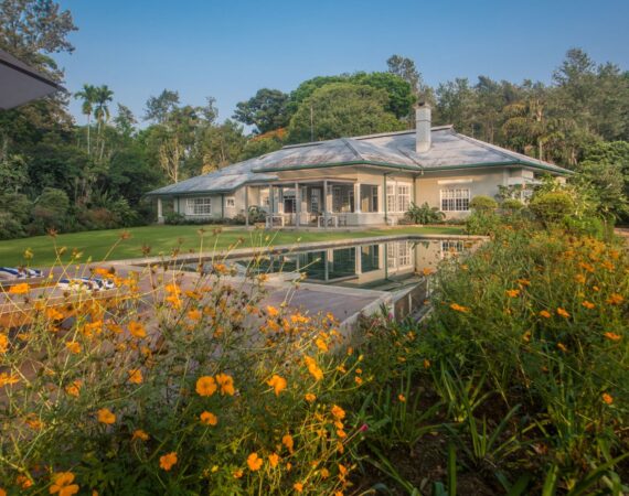 Infinity pool at Nine Skies framed by flowering gardens, bungalow, and dense Hill Country foliage