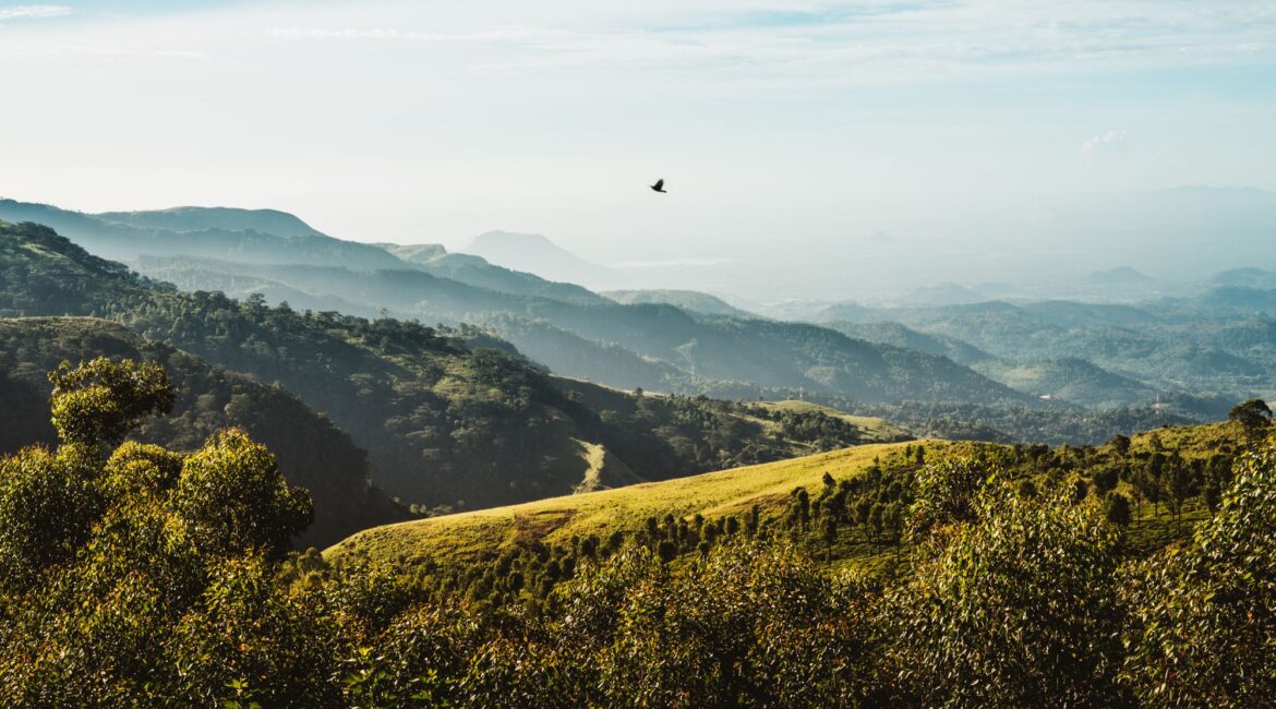Glorious countryside views from Thotalagala tea bungalow in Sri Lanka’s Hill Country