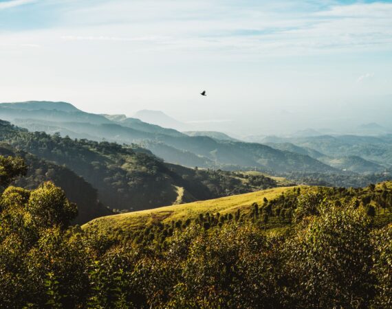 Glorious countryside views from Thotalagala tea bungalow in Sri Lanka’s Hill Country