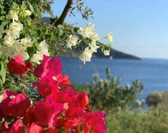 Weather in Kalkan