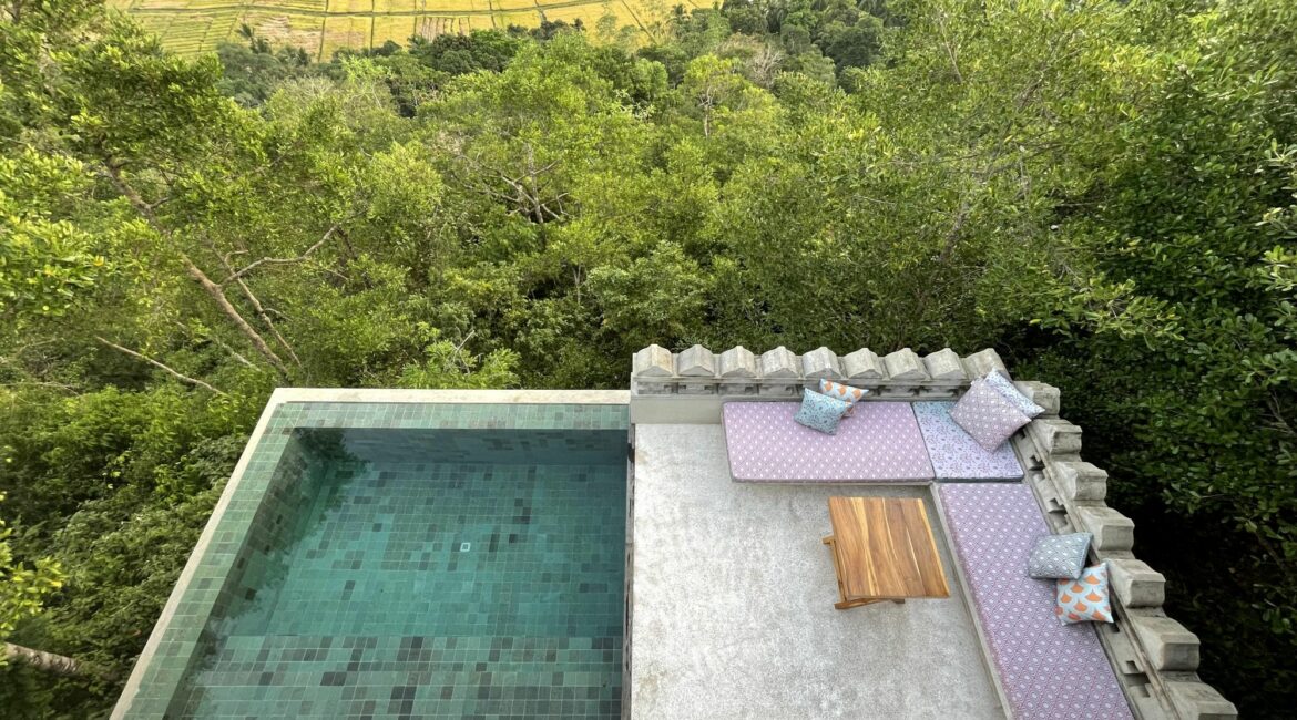 Malbar Hill Sri Lanka Pool Villa swimming pool and surrounding lush landscapes