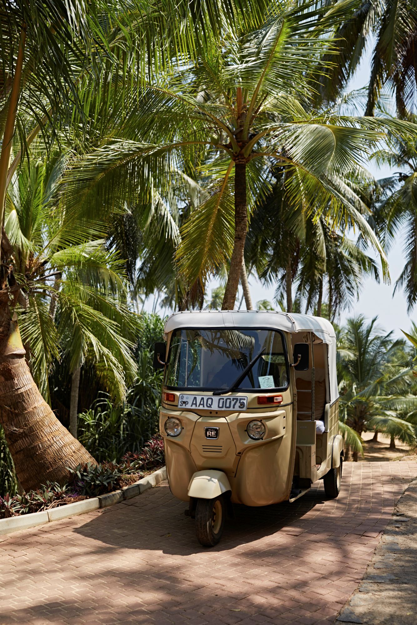 olourful tuk tuks on the streets of Colombo, Sri Lanka – a lively glimpse of local life in the island’s vibrant west coast capital.
