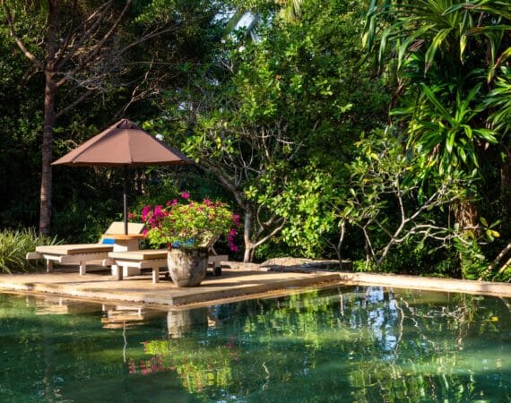 Swimming pool and three-acre tropical gardens at Why House luxury villa hotel