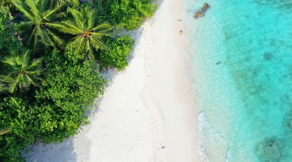 Makunudu Island Maldives white sandy beach palm fringe and turquoise sea