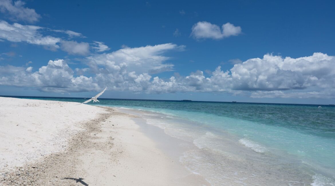 Makunudu Island Maldives sandy shores and bright blue skies dappled with fluffy clouds