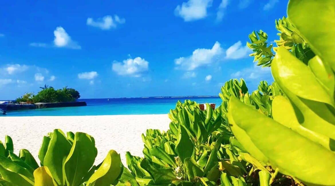 Makunudu Island Maldives a tropical paradise