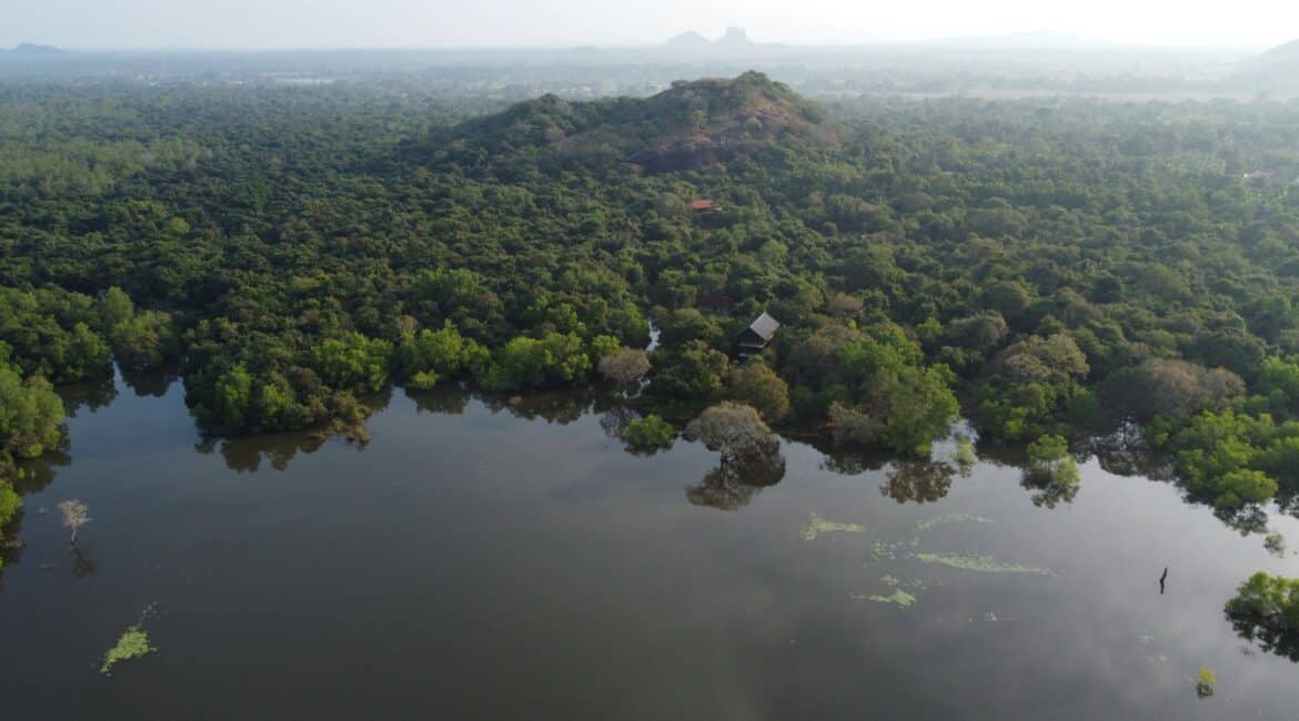 Wild Grass Nature Resort Sri Lanka Villa Eagles Nest Aerial view Premium Family Villa with a Private Pool