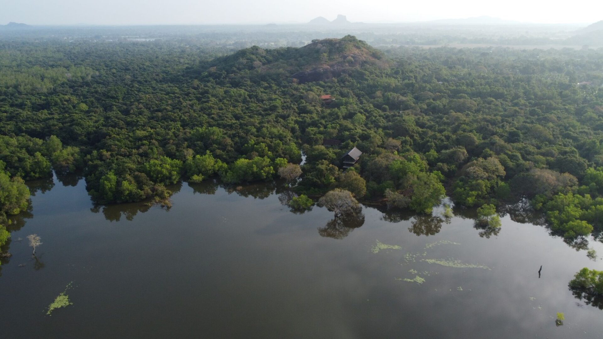 Wild Grass Nature Resort Sri Lanka Villa Eagles Nest Aerial view Premium Family Villa with a Private Pool