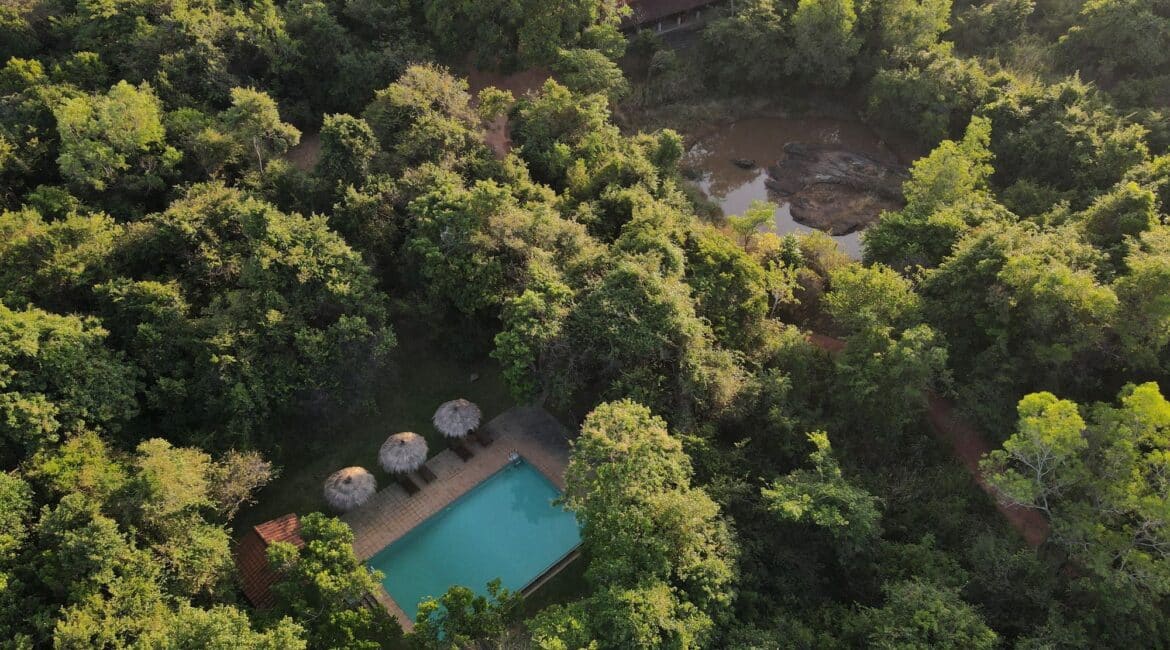 Wild Grass Nature Resort Sri Lanka swimming pool and the jungle