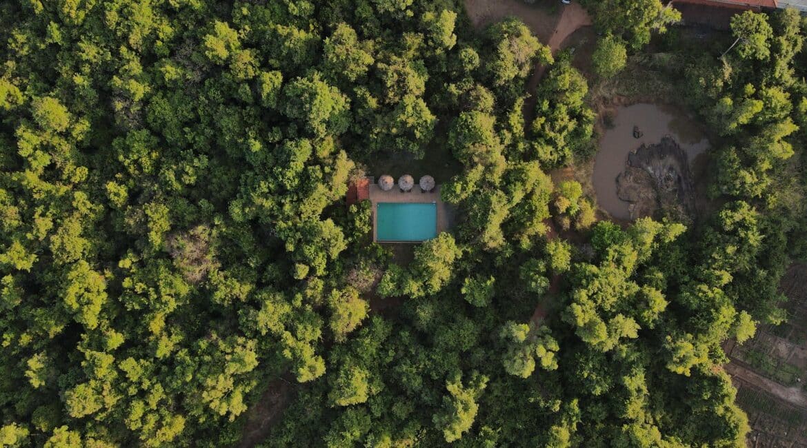 Wild Grass Nature Resort Sri Lanka Common swimming pool aerial view