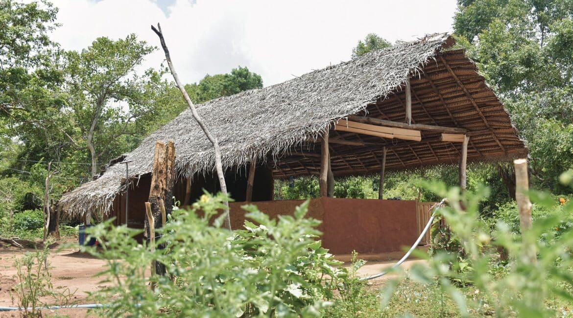 Wild Grass Nature Resort Sri Lanka Chena Hut dining experience at Wild Grass