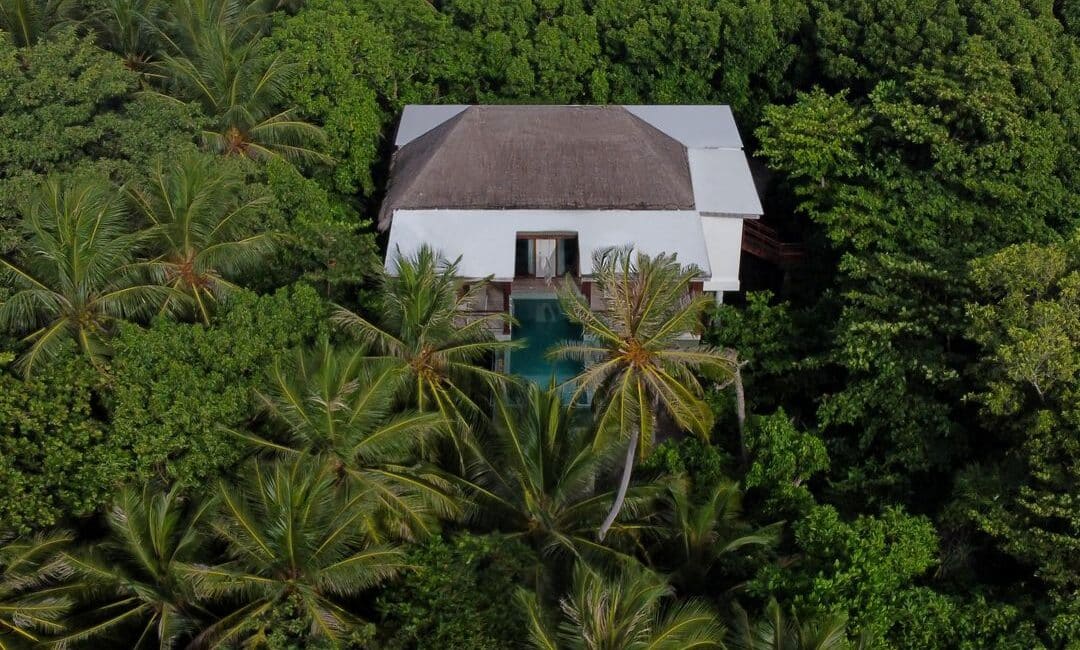 Amilla Maldives suites hidden in the tree tops