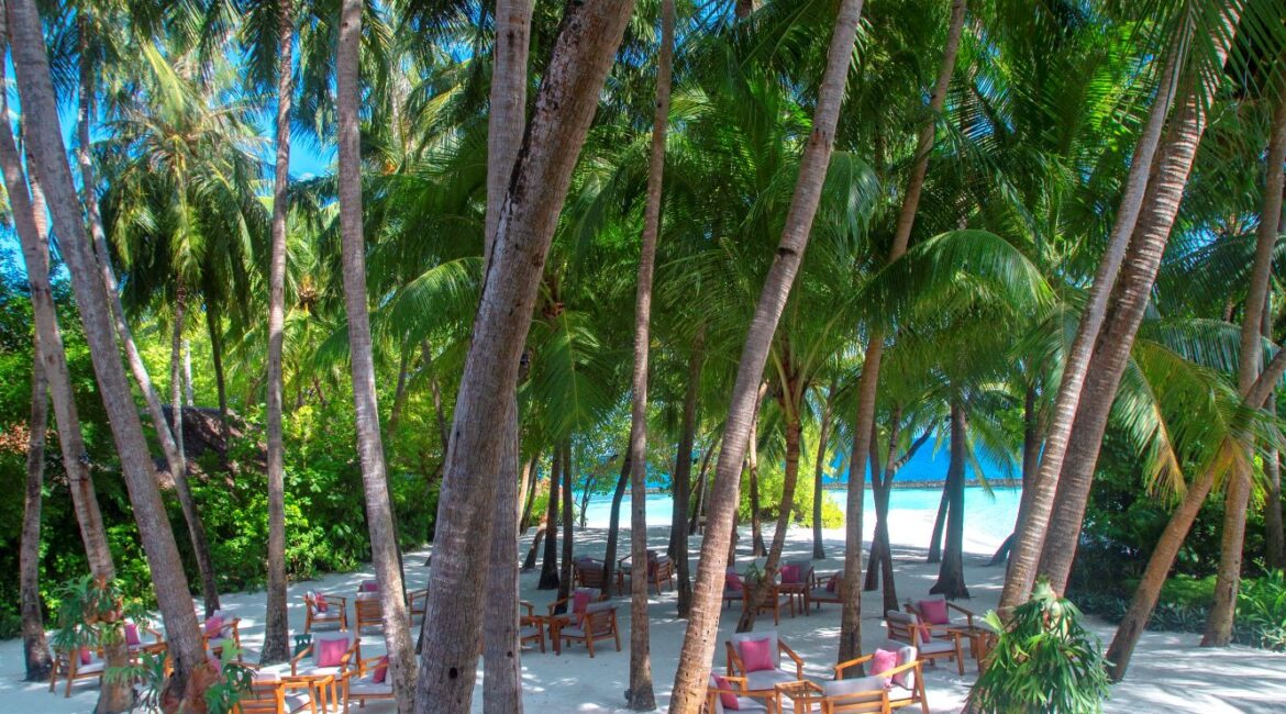 Baros Maldives_Palm Garden_Vertical