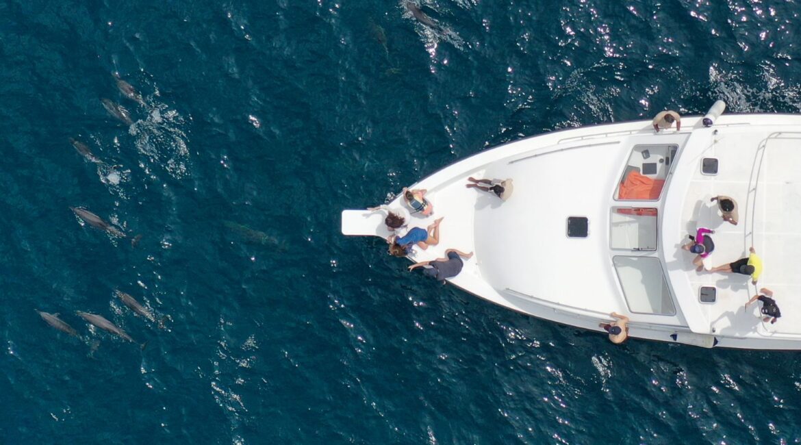 Dhigali Maldives Dolphin Cruise