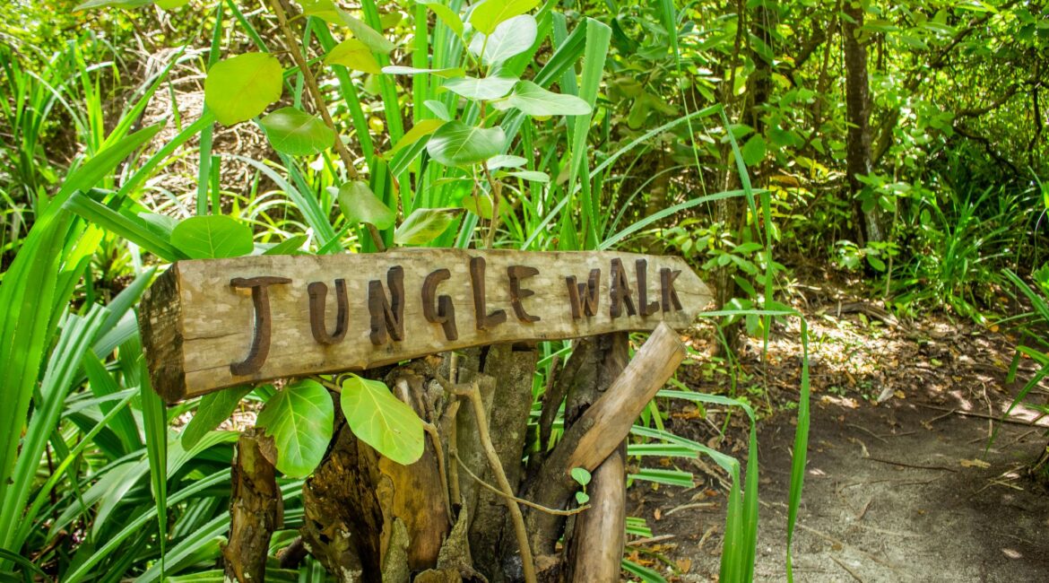 Dhigali Maldives Jungle Walk