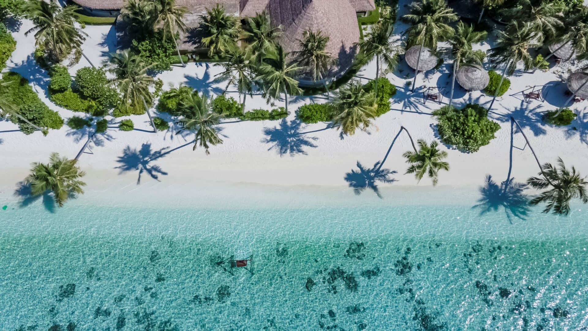 Pine fringed shores Reethi Faru Resort in the Maldives
