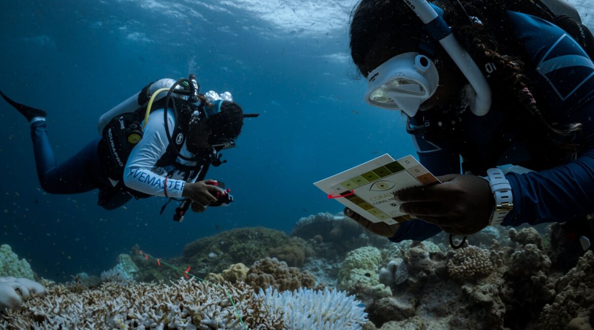 MUI team conducting coral bleaching survey Six Senses Laamu Maldives