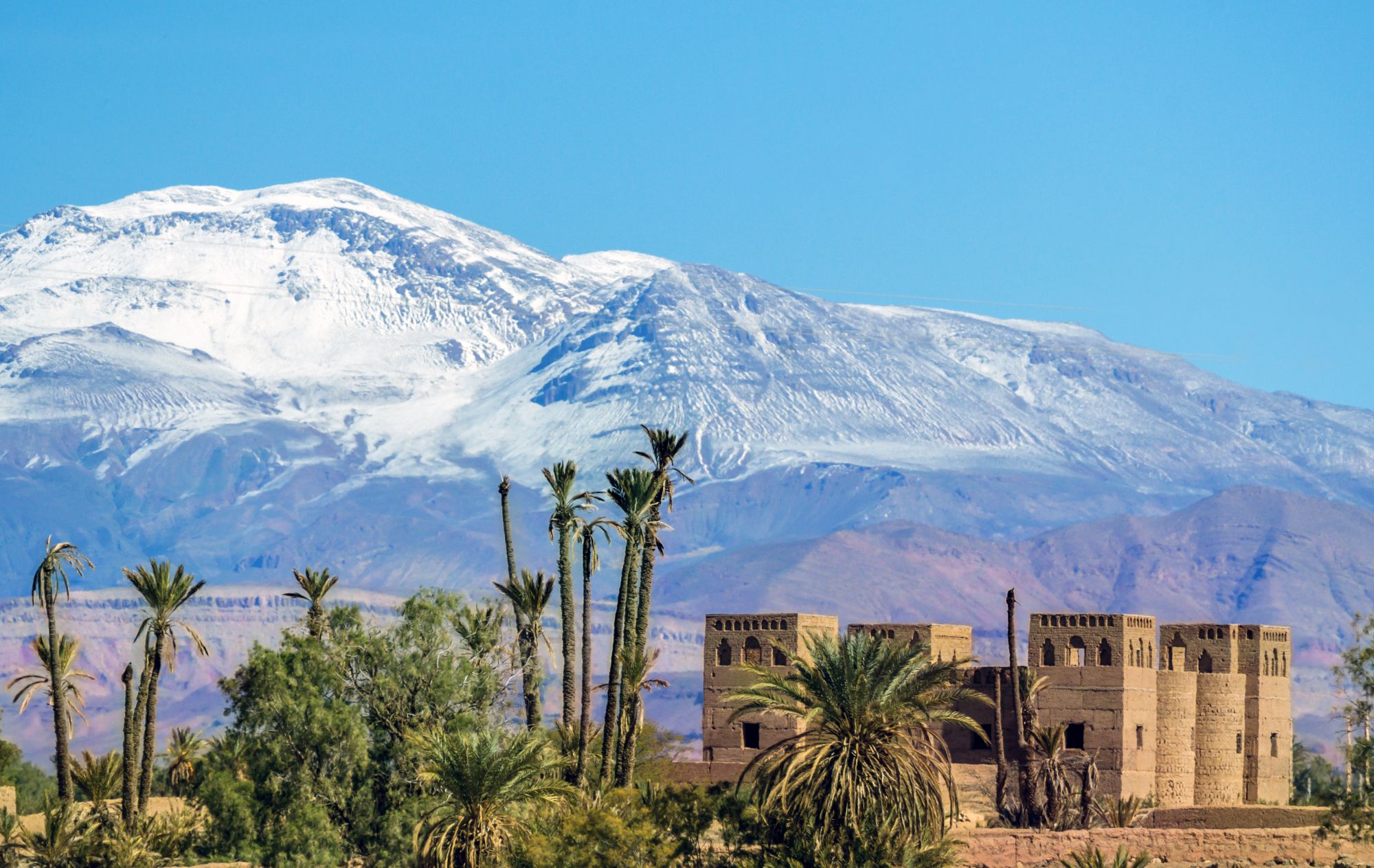 Snow-capped Atlas Mountains rising above palm trees and traditional buildings
